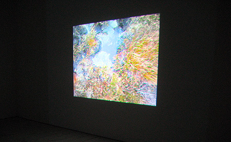 ward hill : 116 - 468 metres above sea level chris cottrell