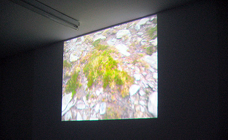 ward hill : 116 - 468 metres above sea level chris cottrell